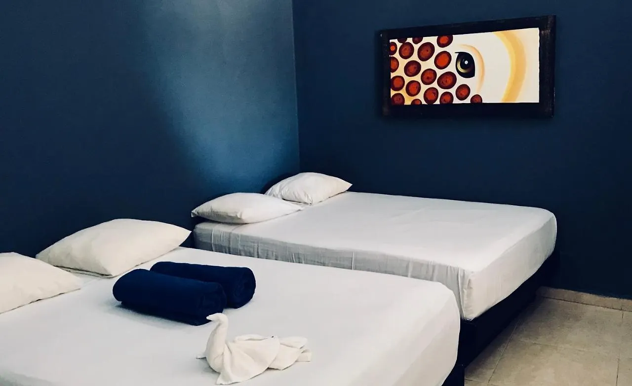 Easy Hotel بلايا ديل كارمن