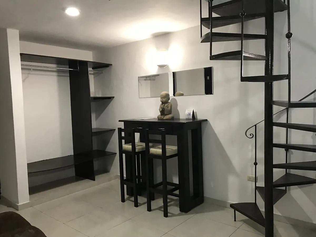 Easy Hotel بلايا ديل كارمن