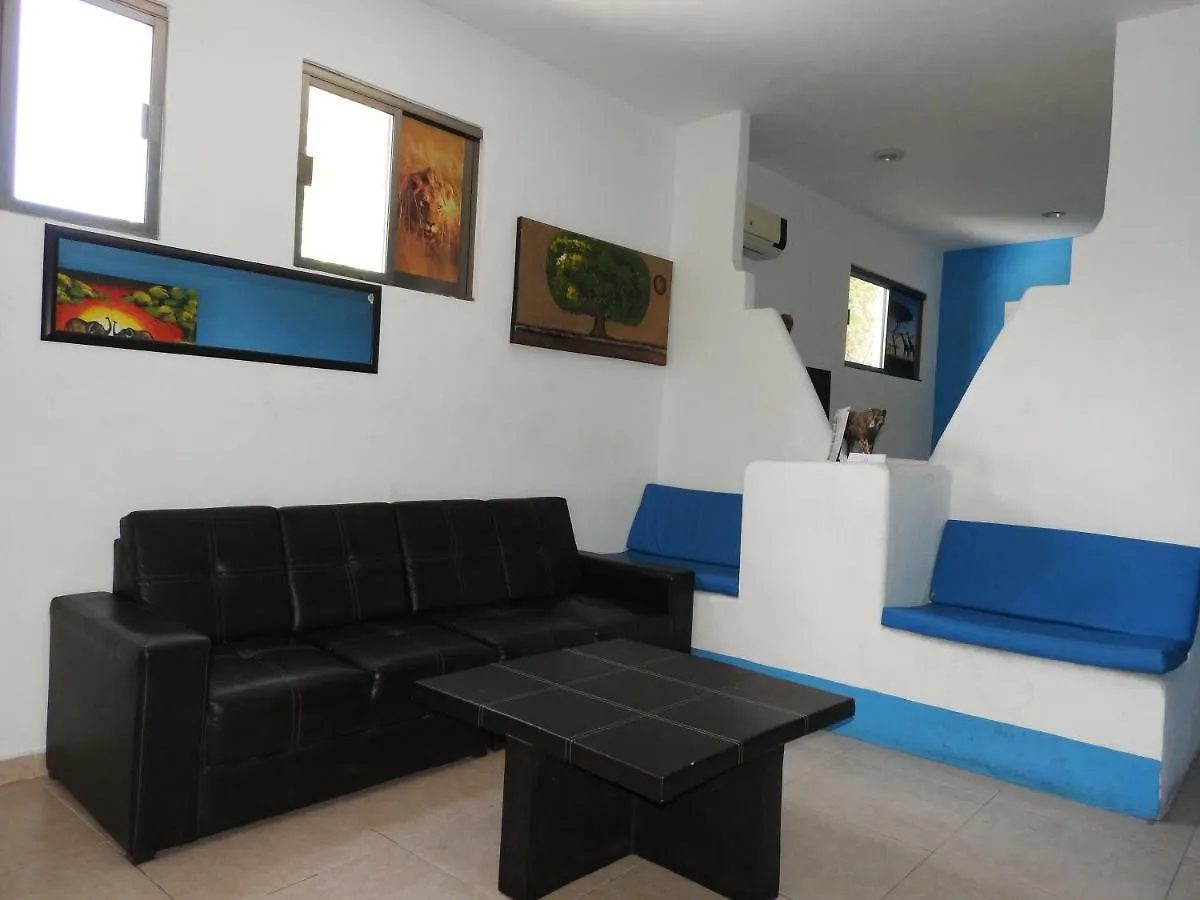 Easy Hotel بلايا ديل كارمن المكسيك