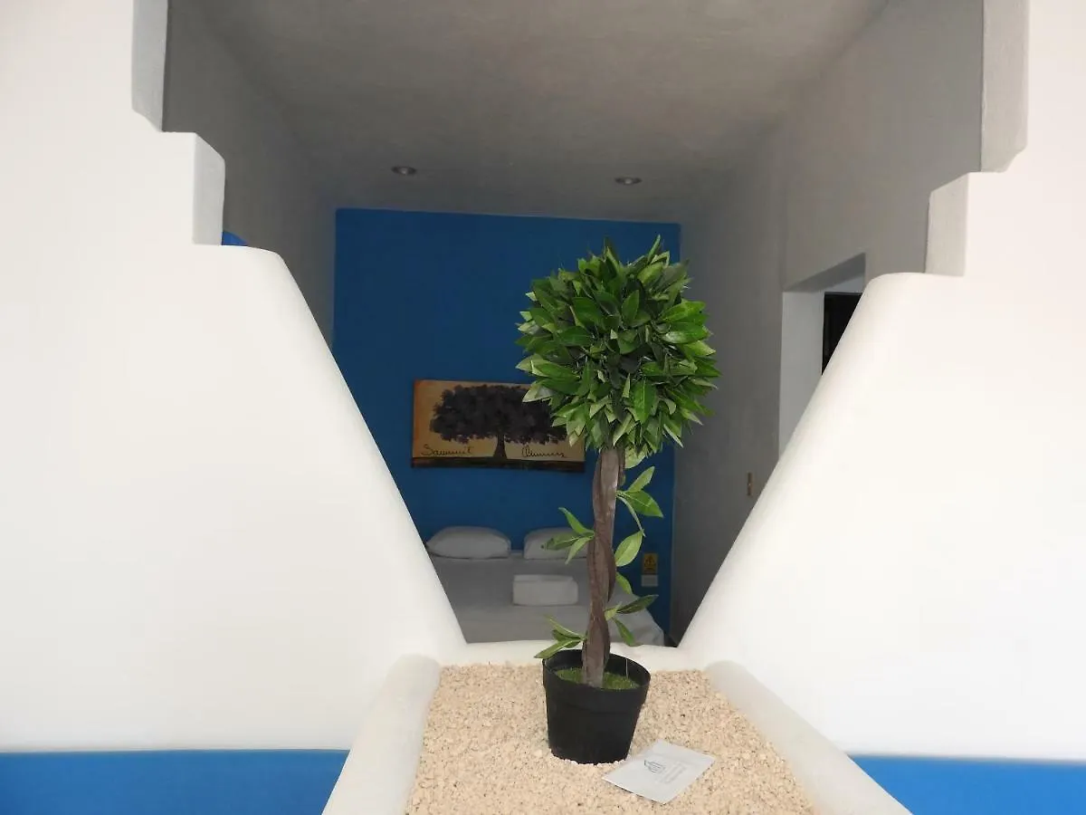 Easy Hotel بلايا ديل كارمن