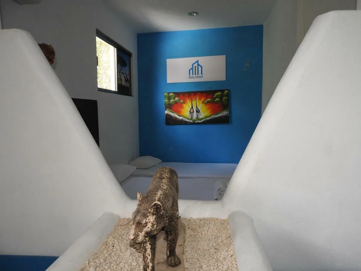 Easy Hotel بلايا ديل كارمن المكسيك